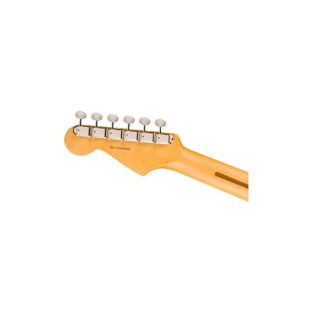 Fender   Fender American Professional Classic Stratocaster RW - FSGM