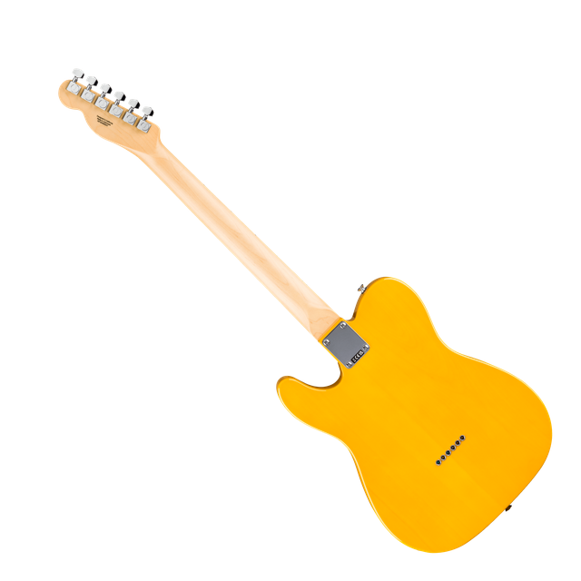 Fender Fender Standard Telecaster MN BPG BTB