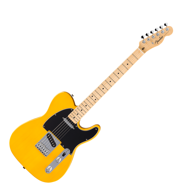 Fender Fender Standard Telecaster MN BPG BTB