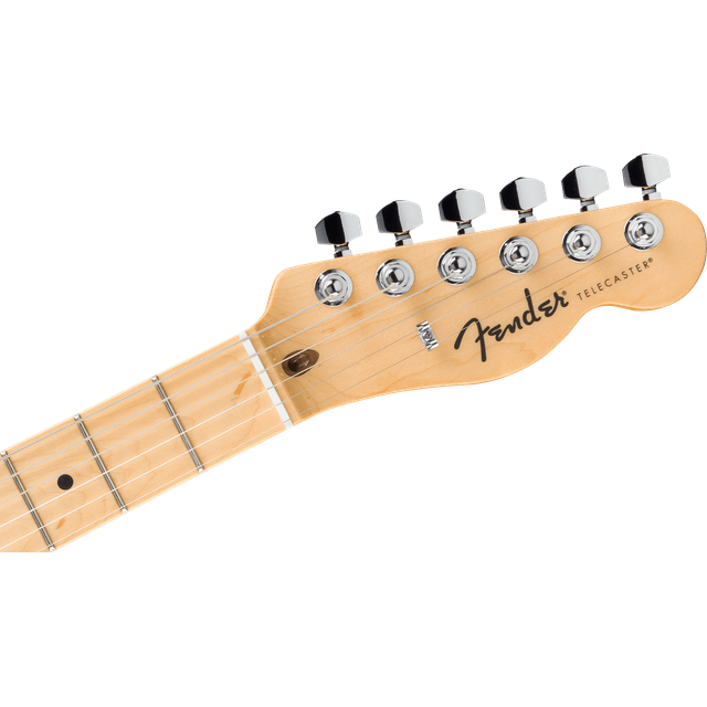 Fender Fender Standard Telecaster MN BPG BTB