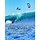 The World Kite and Windsurf Guide