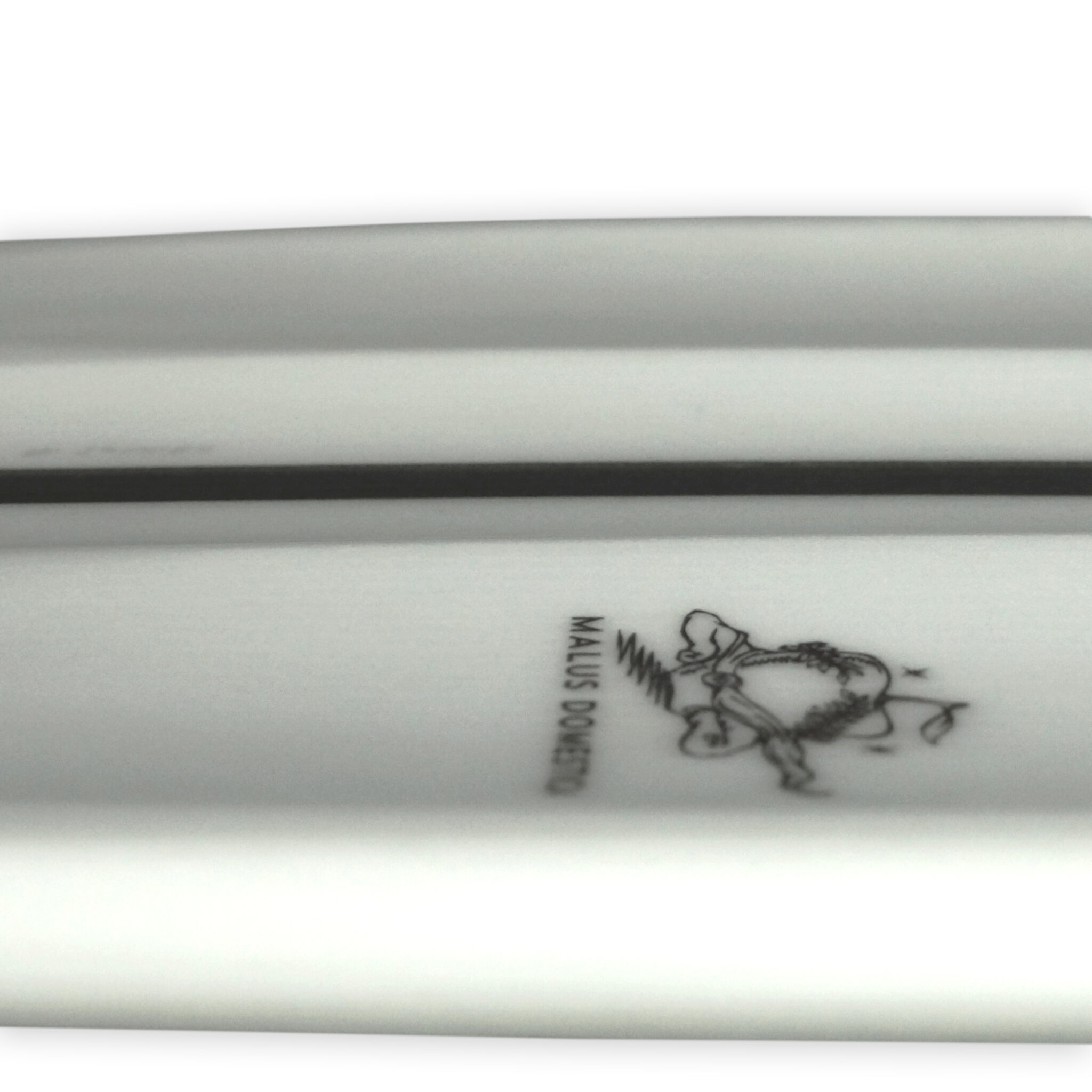 Appletree Malus Domestica