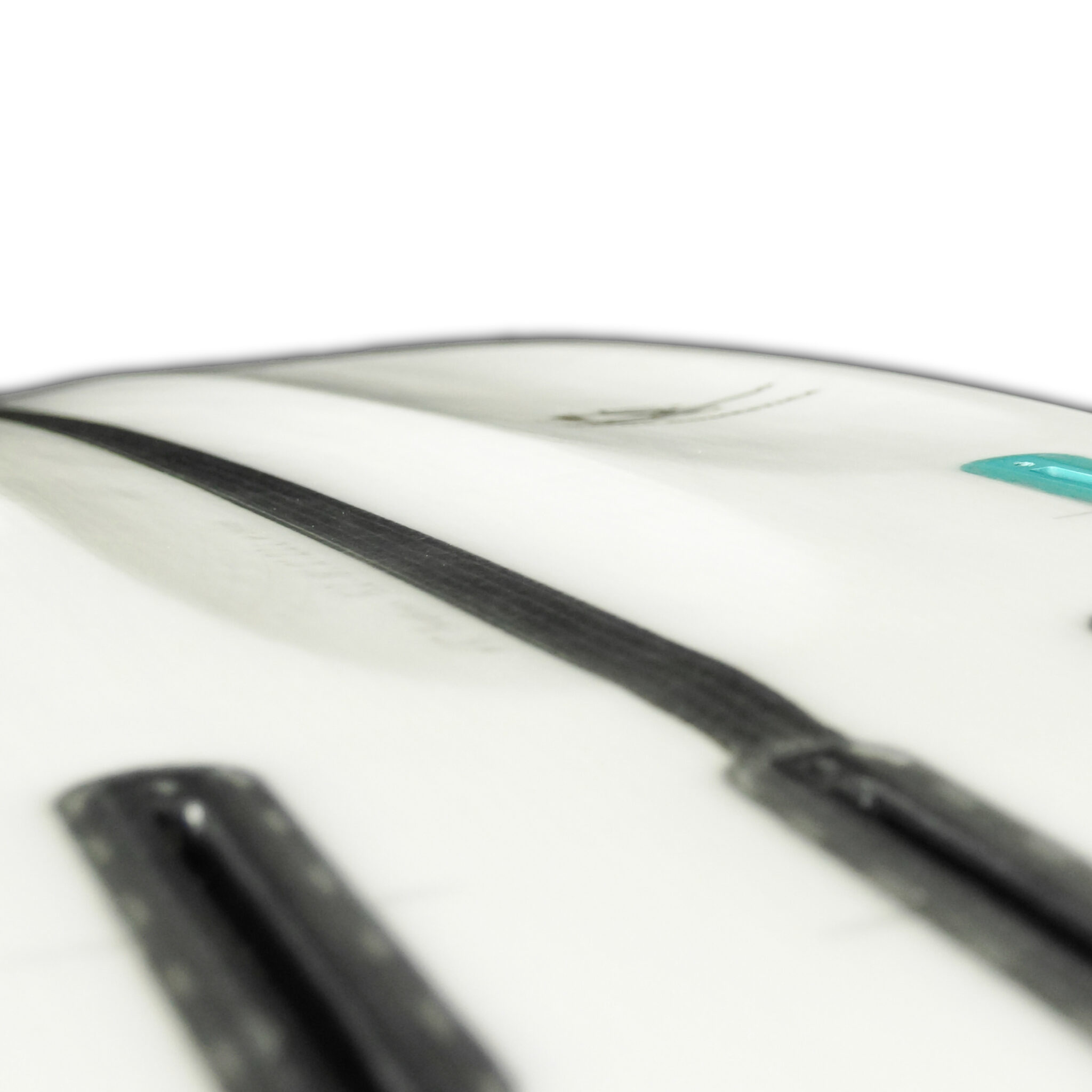 Appletree Malus Domestica