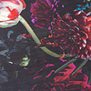 Bloemen vloerkleed - Florine Zwart Roze