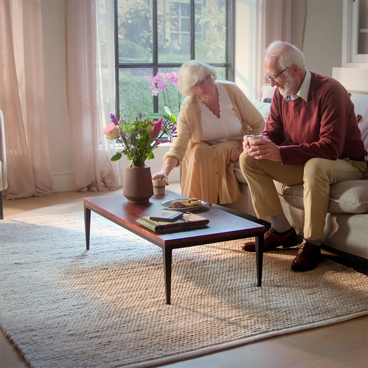 Wollen vloerkleed - Feline Grijs/Gemeleerd