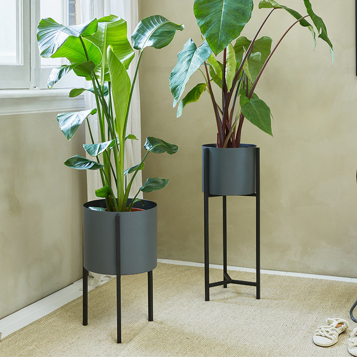 Plantenbak - Delphine Zwart Hoog