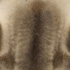 Bruin Rendiervacht - Vloerkleed - thumbnail 2