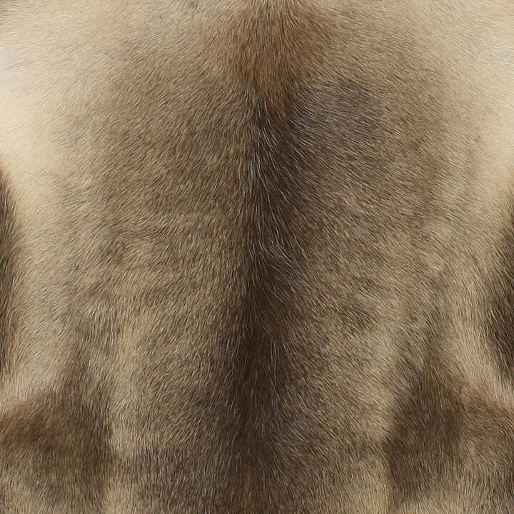 Bruin Rendiervacht - Vloerkleed