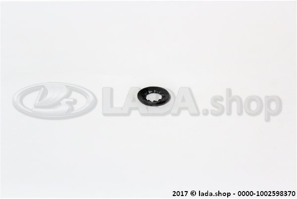 Original LADA 0000-1002598370, Lock washer 8