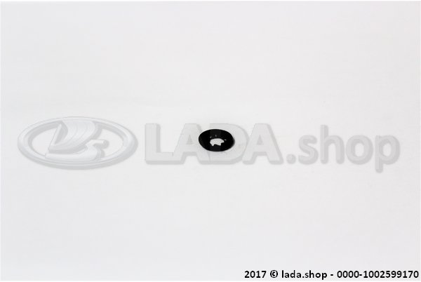 Original LADA 0000-1002599170, Sicherungsscheibe 5