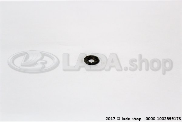Original LADA 0000-1002599173, Borg ring 5