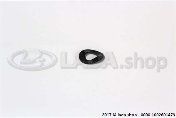 Original LADA 0000-1002601473, Arruela 10