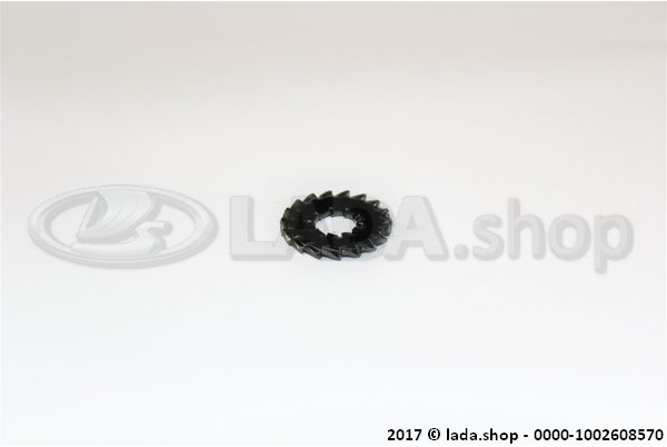 Original LADA 0000-1002608570, Lock washer 8