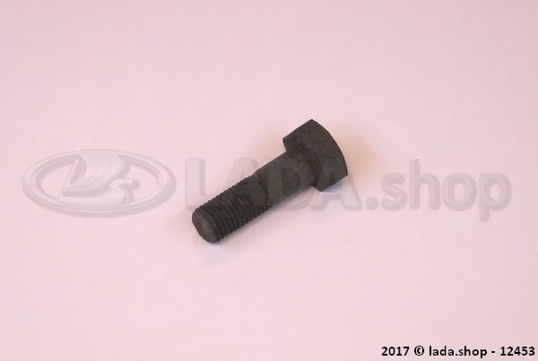 Original LADA 2101-3001038, Guarda De Bolt