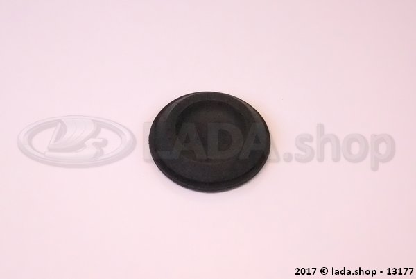 Original LADA 2101-5002090, Painel Lateral Da Tampa