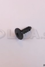 Original LADA 2103-5004028, Bouton