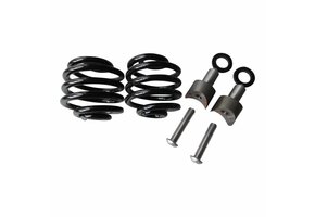 Saddle Springs Black 2" with Mounting Kit
