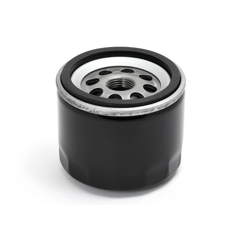 Oliefilter voor Harley-Davidson® FL, FX 80 en XLS zwart