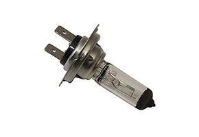 H7 Light Bulb 12V 55W PX26d