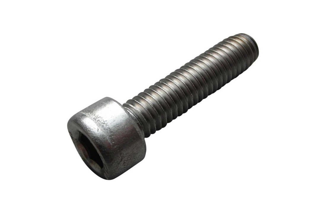 Inbusbout RVS M6 x 25mm