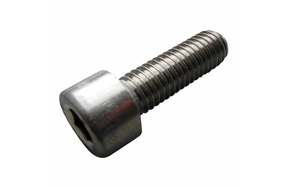 Inbusbout RVS M8 x 25mm