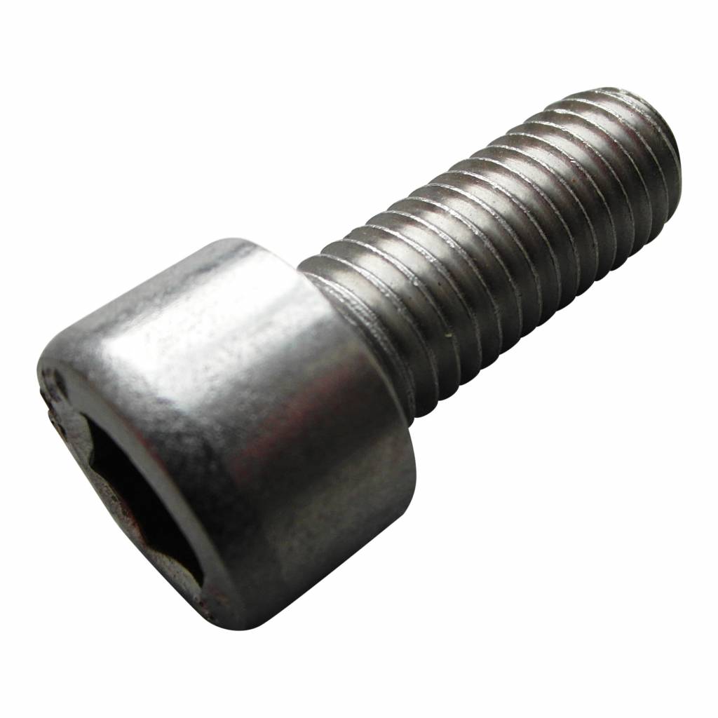 Inbusbout RVS M10 - Lengte 25mm