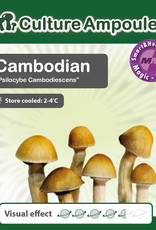 Culture Ampoule Set Cambodian Mushroom Spore