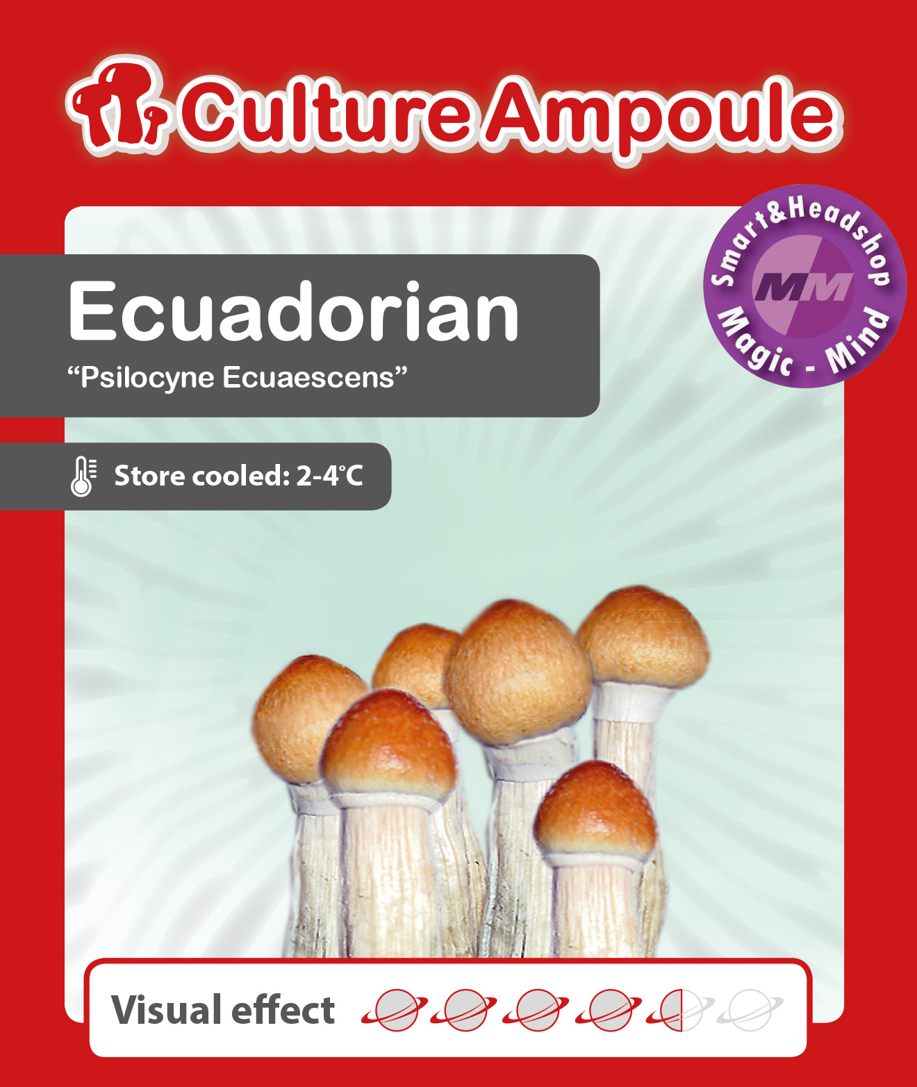 Culture Ampoule Set Ecuadorian Mushroom Spore