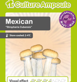 Culture Ampoule Set Mexican Mushroom Spore