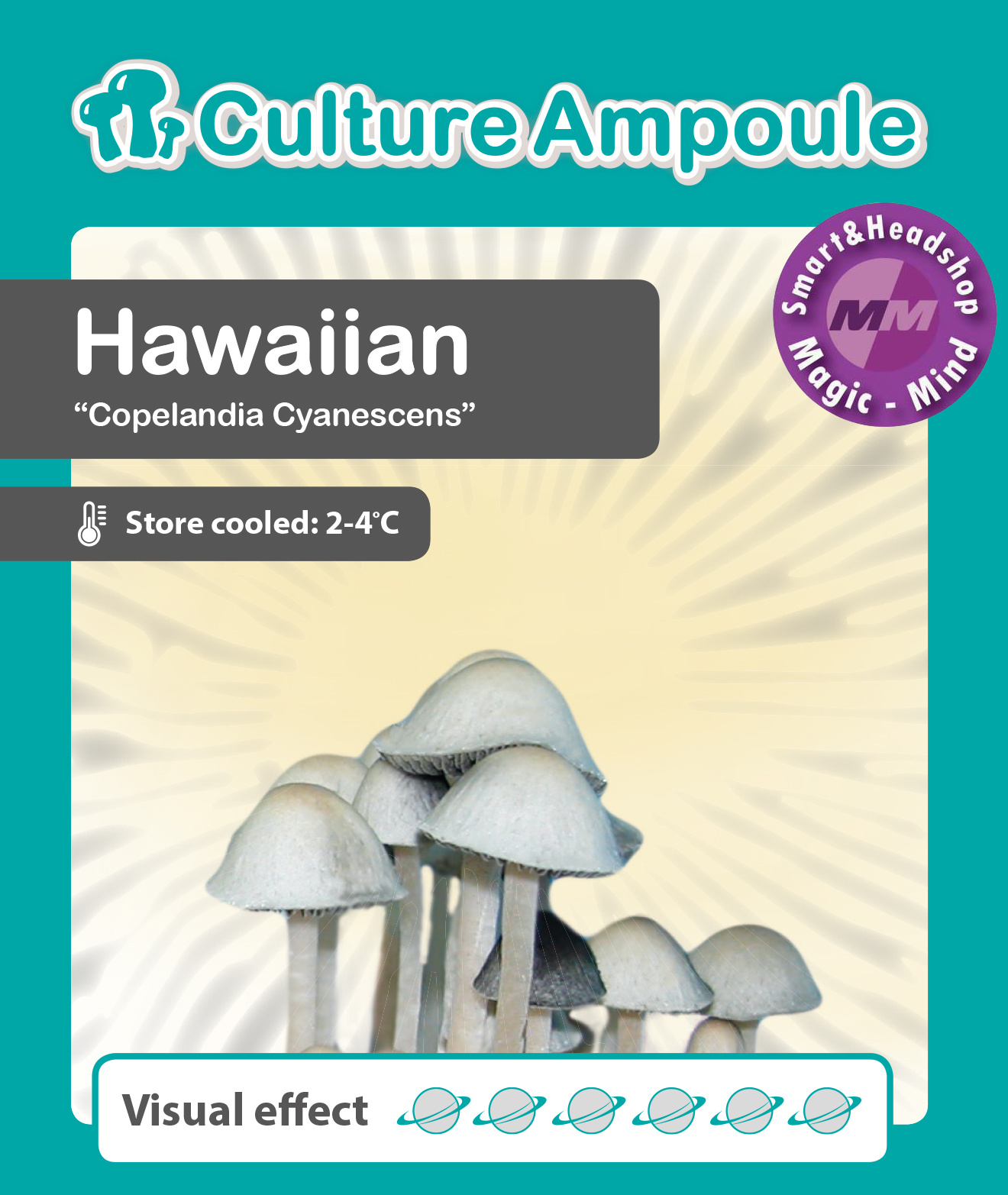 Culture Ampoule Set Hawaiian Mushroom Spore