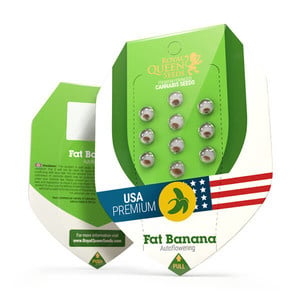 Royal Queen Seeds Fat Banana Automatic