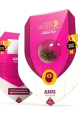 Royal Queen Seeds AMG - Amnesia Mac Ganja