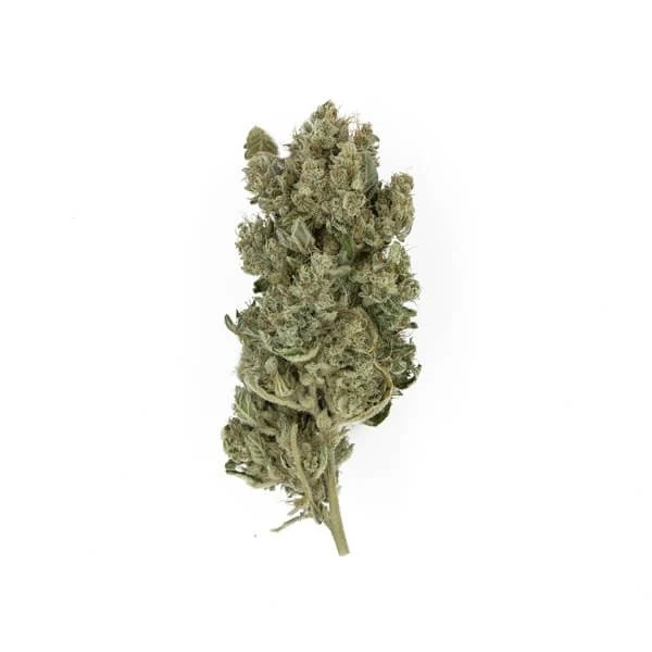 Royal Queen Seeds Royal Gorilla