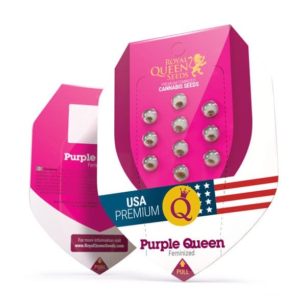 Royal Queen Seeds Purple Queen
