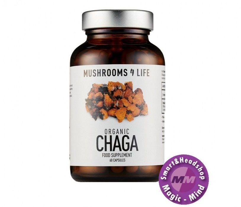 Mushrooms4Life Mushrooms 4 Life Chaga Capsules BIO 60 Stuks