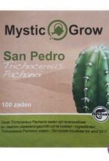 San Pedro (Trichocereus Peruvianus) zaden