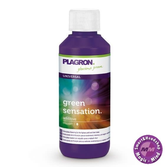 plagron Plagron – Top Grow Box 100% TERRA