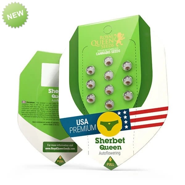 Royal Queen Seeds Sherbet Queen Automatic