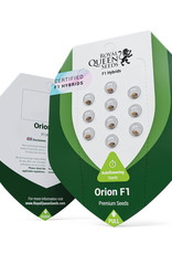 Royal Queen Seeds Orion F1