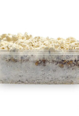 Growkit Waikiki Waves Growkit - 1200 cc