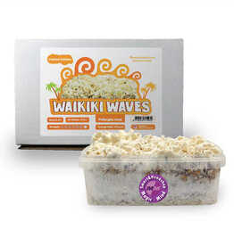 Growkit Waikiki Waves Growkit - 1200 cc