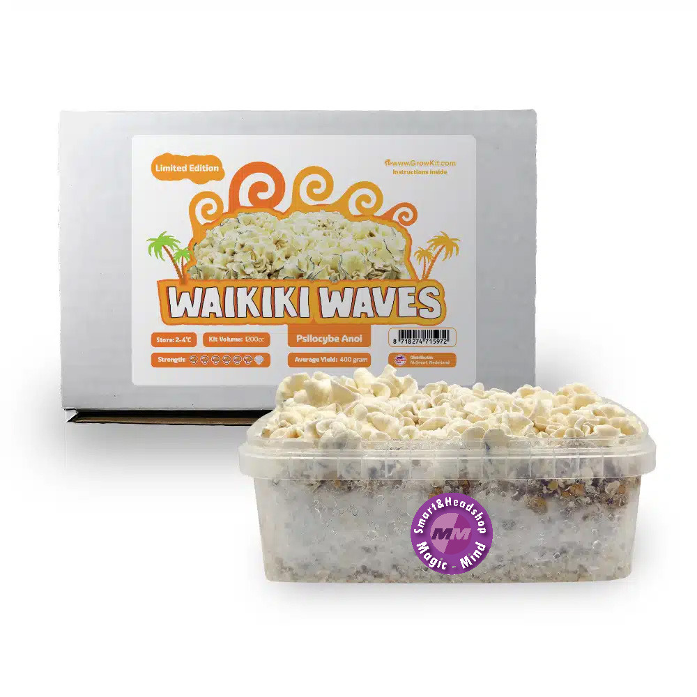 Growkit Waikiki Waves Growkit - 1200 cc