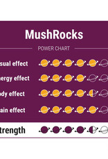 MushRocks MushRocks