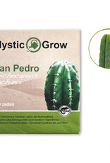 Mystic San Pedro Pachanoi (Trichocereus Pachanoi) zaden-100 stuks