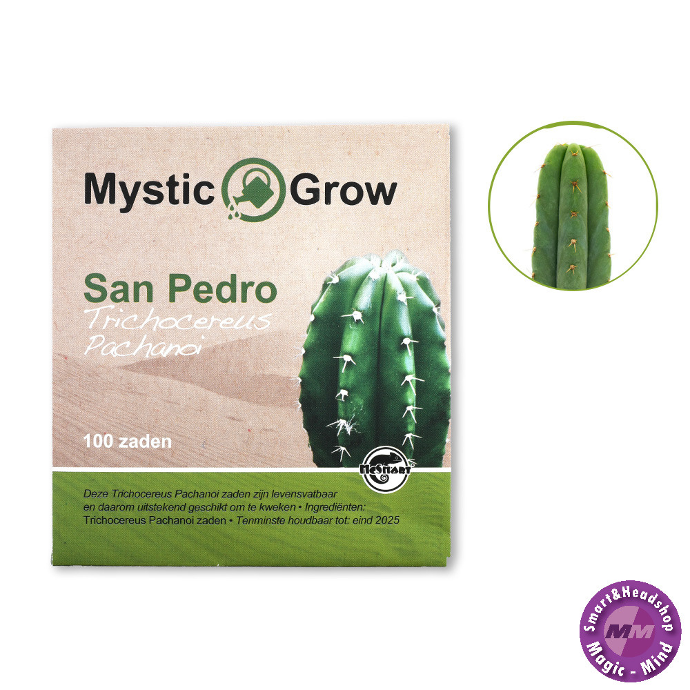 Mystic San Pedro Pachanoi (Trichocereus Pachanoi) zaden-100 stuks