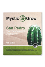 Mystic San Pedro Pachanoi (Trichocereus Pachanoi) zaden-100 stuks
