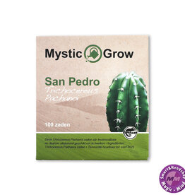 Mystic San Pedro Pachanoi (Trichocereus Pachanoi)seeds