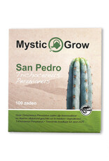Mystic San Pedro T. Peruvianus seeds - 100 pieces