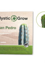 Mystic San Pedro T. Peruvianus seeds - 100 stuks