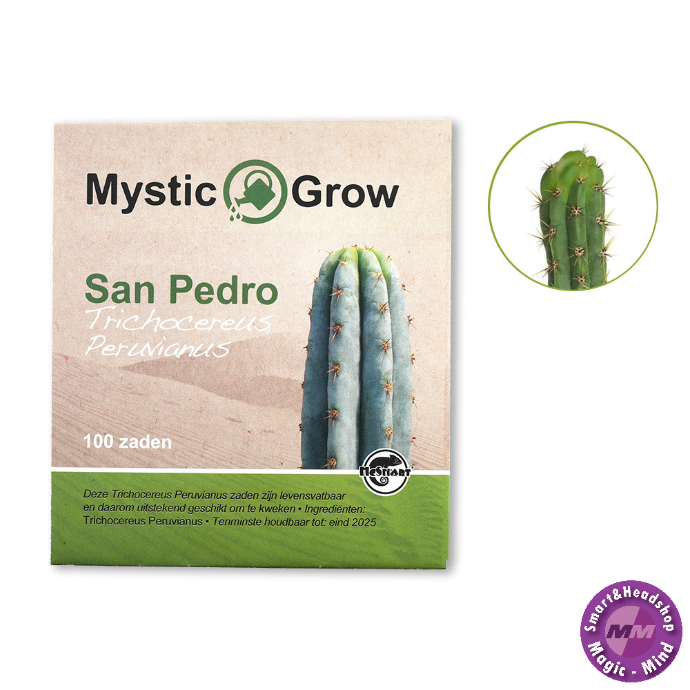 Mystic San Pedro T. Peruvianus seeds - 100 pieces
